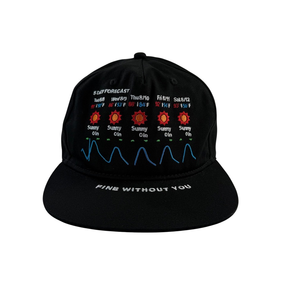 Jungles Jungles Fine Without You Snapback Hat Black 5 Day Forecast Graphic NWT